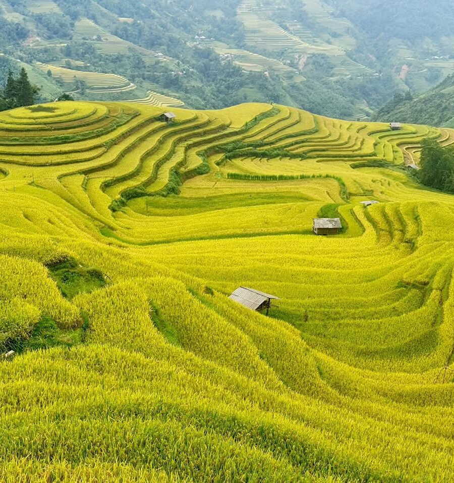 4D3N HOANG SU PHI MOTORBIKE TOUR